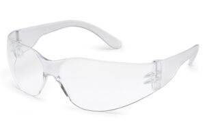 Clear Temples/Clear Lens (4680)